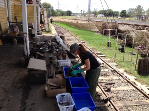 Dr Jo Wills removing thick mud from objects
