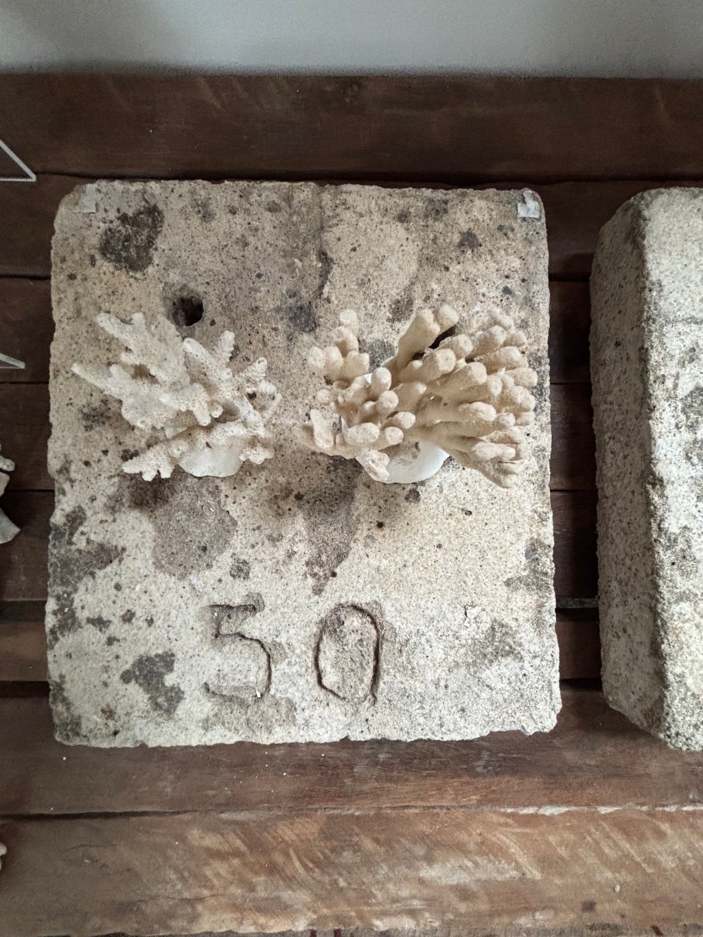 Shining a light on the coral frontier: Low Isles&nbsp;Museum